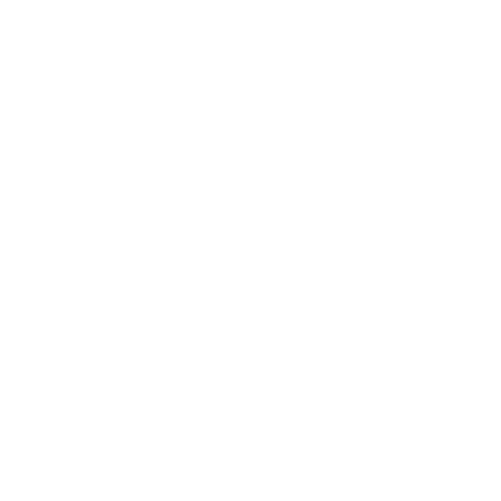 pinterest logo icon